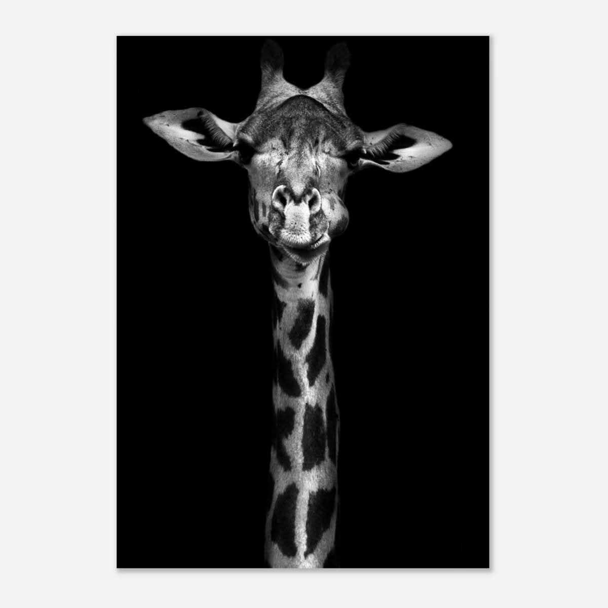 Da Vinci Animal Kingdom Wall art print | Giraffe | Minimalist Black and white - Aluminum Print - 70x100 cm / 28x40″ -