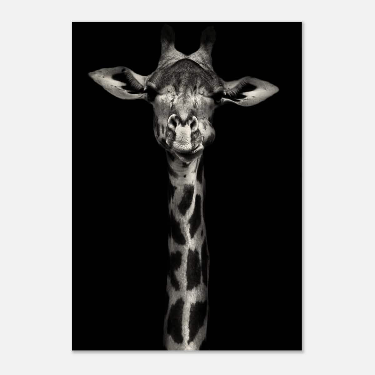 Da Vinci Animal Kingdom Wall art print | Giraffe | Minimalist Black and white - Wood Prints - 70x100 cm / 28x40″ - 10 mm