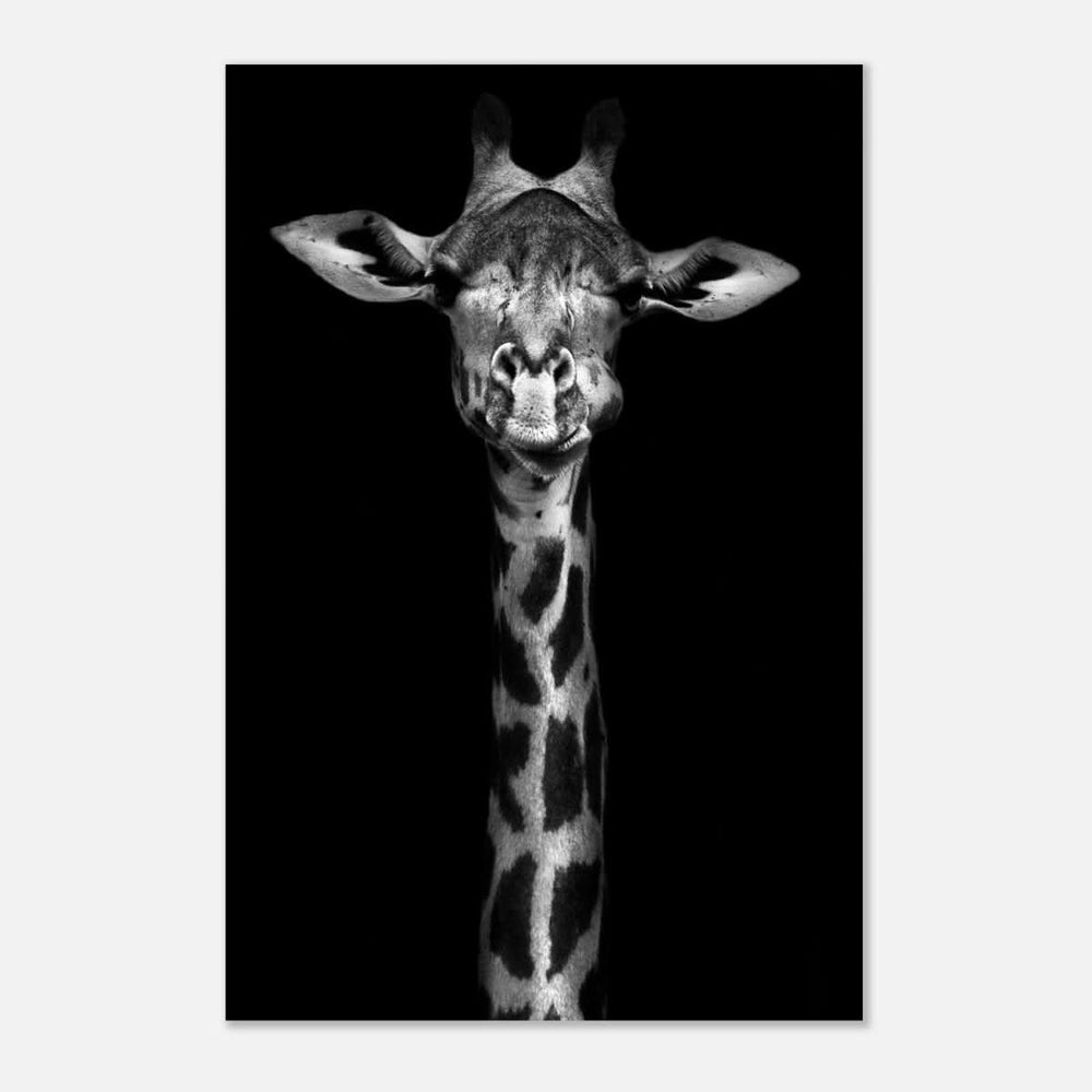 Da Vinci Animal Kingdom Wall art print | Giraffe | Minimalist Black and white - Aluminum Print - 50x75 cm / 20x30″ -