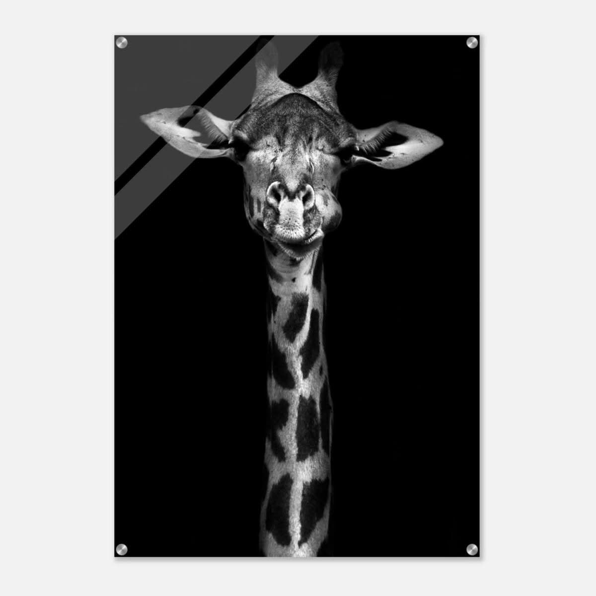 Da Vinci Animal Kingdom Wall art print | Giraffe | Minimalist Black and white - Acrylic Print - 70x100 cm / 28x40″ -