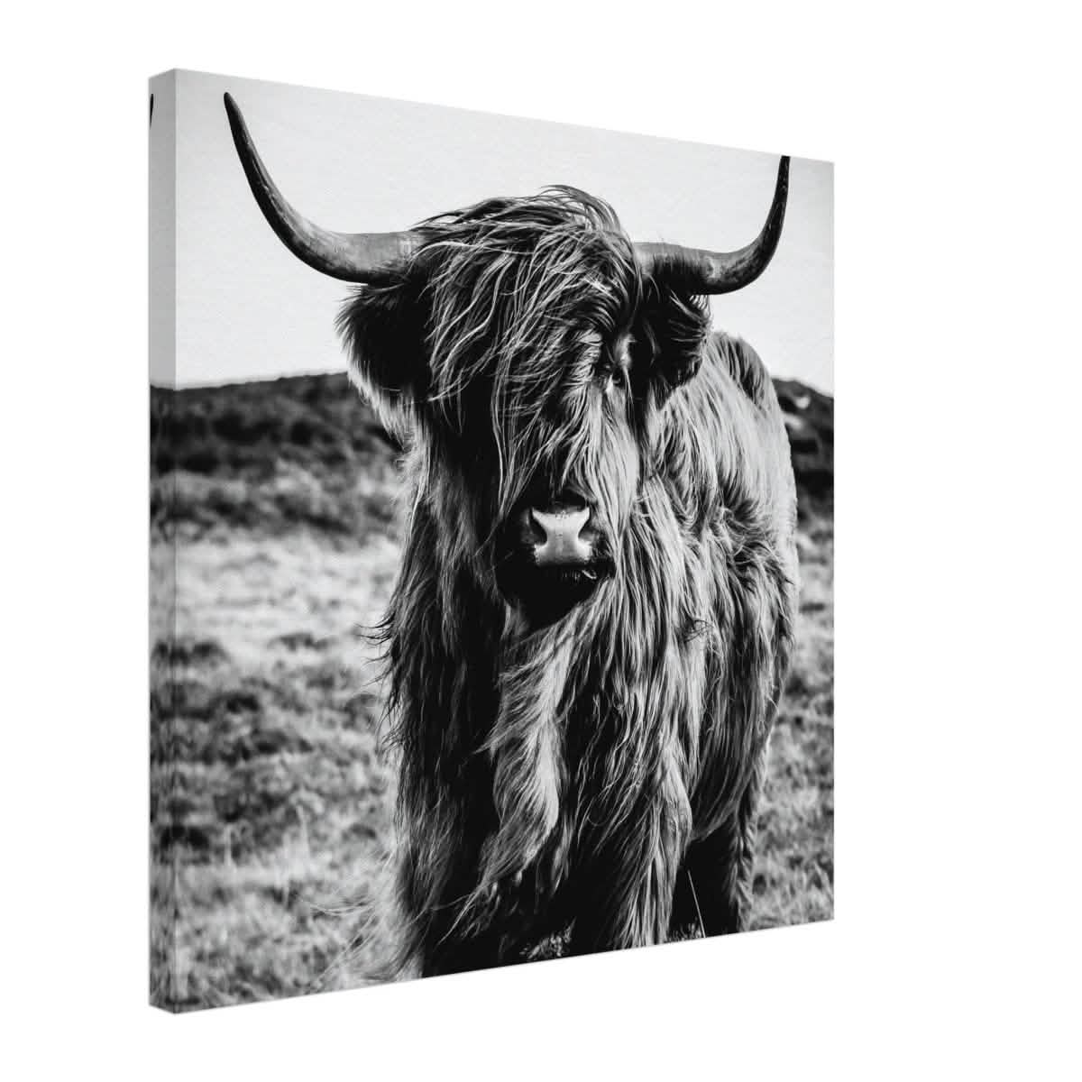 Da Vinci Animal Kingdom Wall art print | Highland Cow - Canvas - 50x50 cm / 20x20″ -