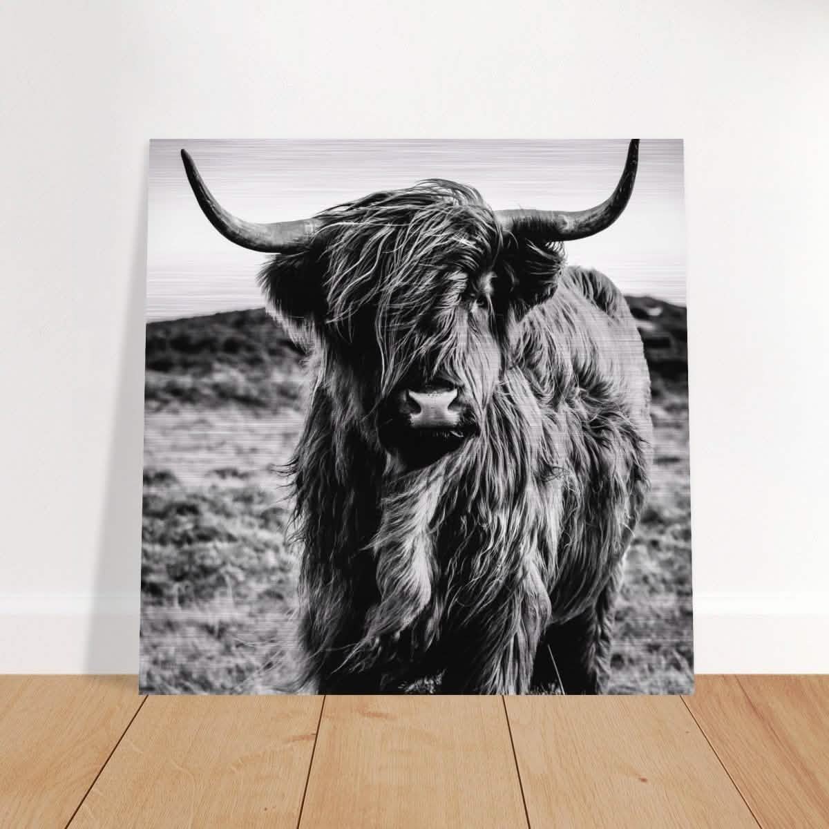 Da Vinci Animal Kingdom Wall art print | Highland Cow - Brushed Aluminum Print - 60x60 cm / 24x24″ -