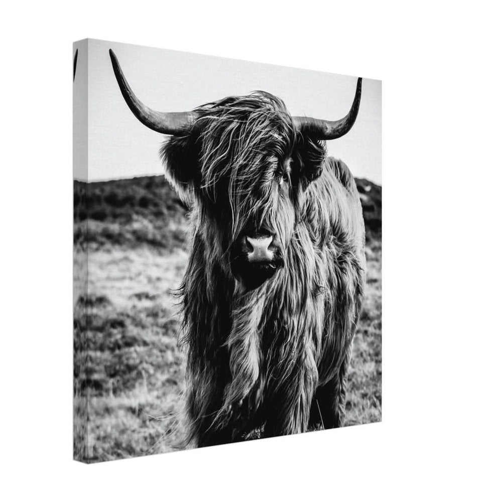 Da Vinci Animal Kingdom Wall art print | Highland Cow - Canvas - 40x40 cm / 16x16″ -