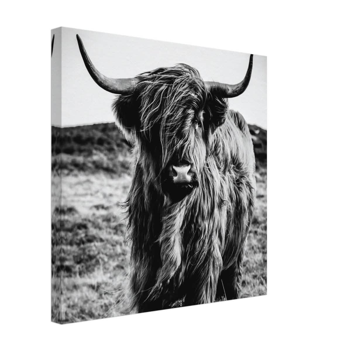 Da Vinci Animal Kingdom Wall art print | Highland Cow - Canvas - 40x40 cm / 16x16″ -