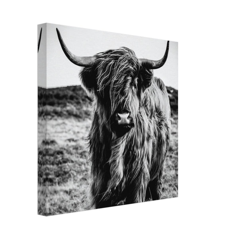 Da Vinci Animal Kingdom Wall art print | Highland Cow - Canvas - 30x30 cm / 12x12″ -