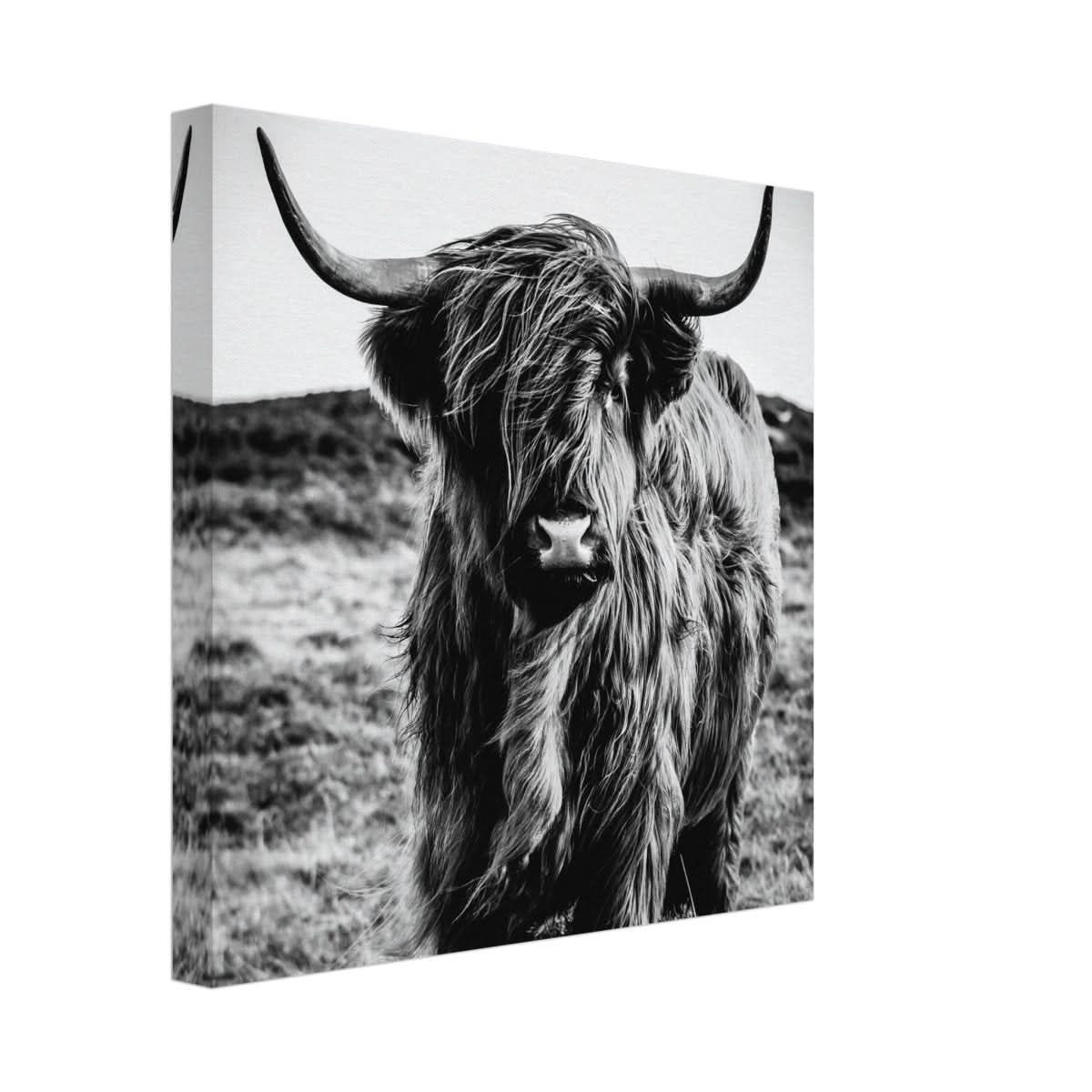 Da Vinci Animal Kingdom Wall art print | Highland Cow - Canvas - 30x30 cm / 12x12″ -