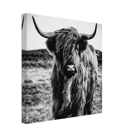 Da Vinci Animal Kingdom Wall art print | Highland Cow - Canvas - 30x30 cm / 12x12″ -