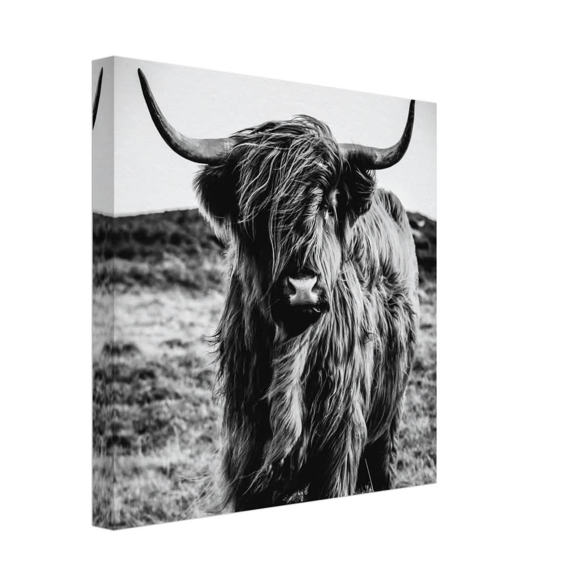 Da Vinci Animal Kingdom Wall art print | Highland Cow - Canvas - 30x30 cm / 12x12″ -