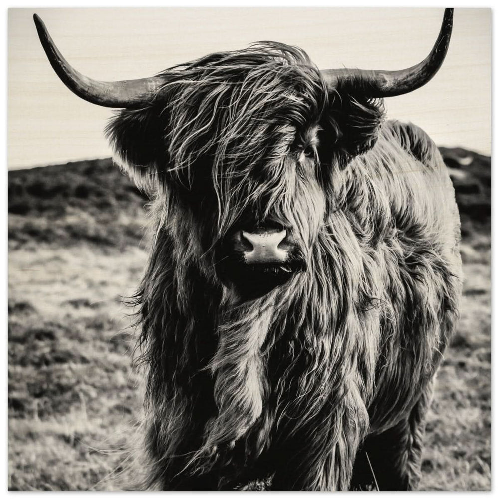 Da Vinci Animal Kingdom Wall art print | Highland Cow - Wood Prints - 40x40 cm / 16x16″ -