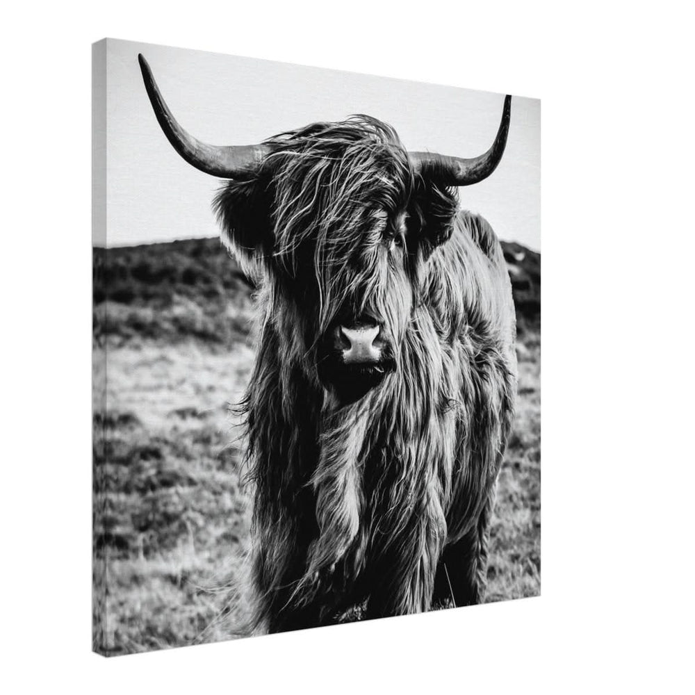 Da Vinci Animal Kingdom Wall art print | Highland Cow - Canvas - 60x60 cm / 24x24″ -