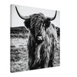 Da Vinci Animal Kingdom Wall art print | Highland Cow - Canvas - 60x60 cm / 24x24″ -