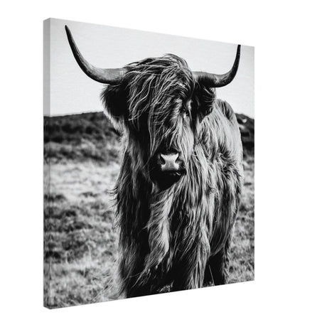 Da Vinci Animal Kingdom Wall art print | Highland Cow - Canvas - 60x60 cm / 24x24″ -
