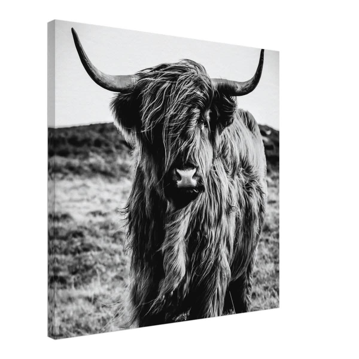 Da Vinci Animal Kingdom Wall art print | Highland Cow - Canvas - 60x60 cm / 24x24″ -