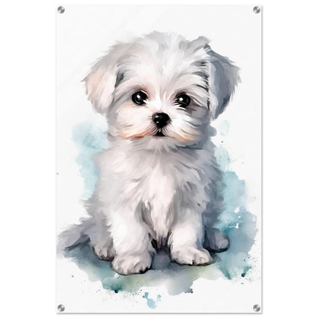 Da Vinci Animal Kingdom Wall art print | Whimsical Whispers: White Paws | Dog | Maltese - Acrylic Print - 60x90 cm / 24x36″ -