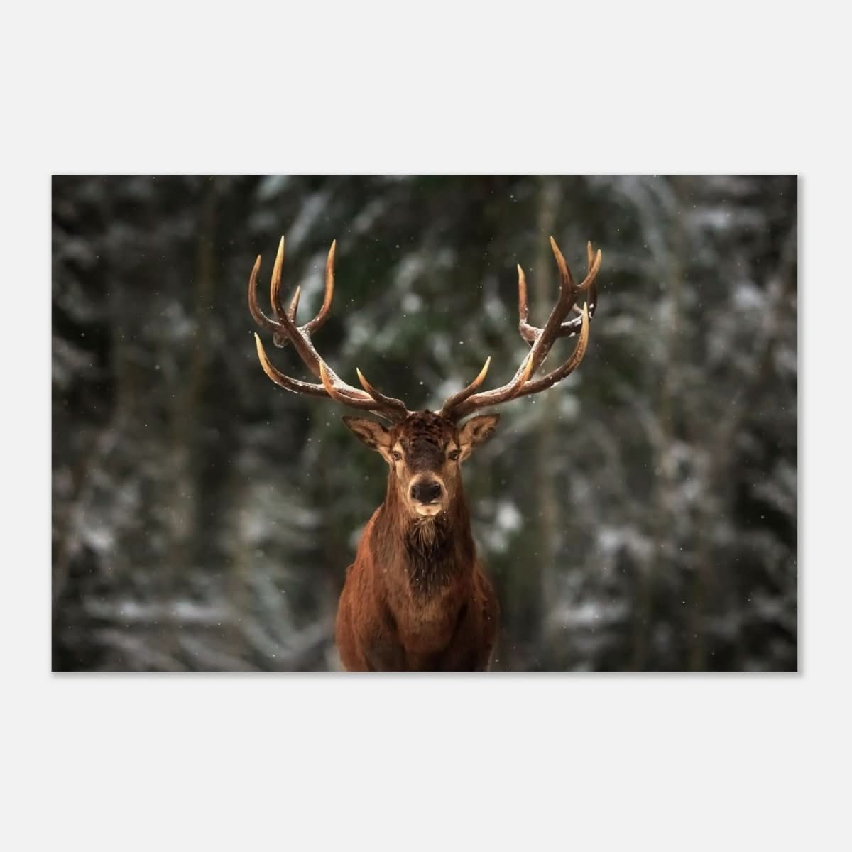 Da Vinci Animal Kingdom Wall art print | Wildlife | Deer - Wood Prints - 40x60 cm / 16x24″ - 10 mm