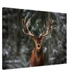 Da Vinci Animal Kingdom Wall art print | Wildlife | Deer - Canvas - 70x100 cm / 28x40″ - Slim