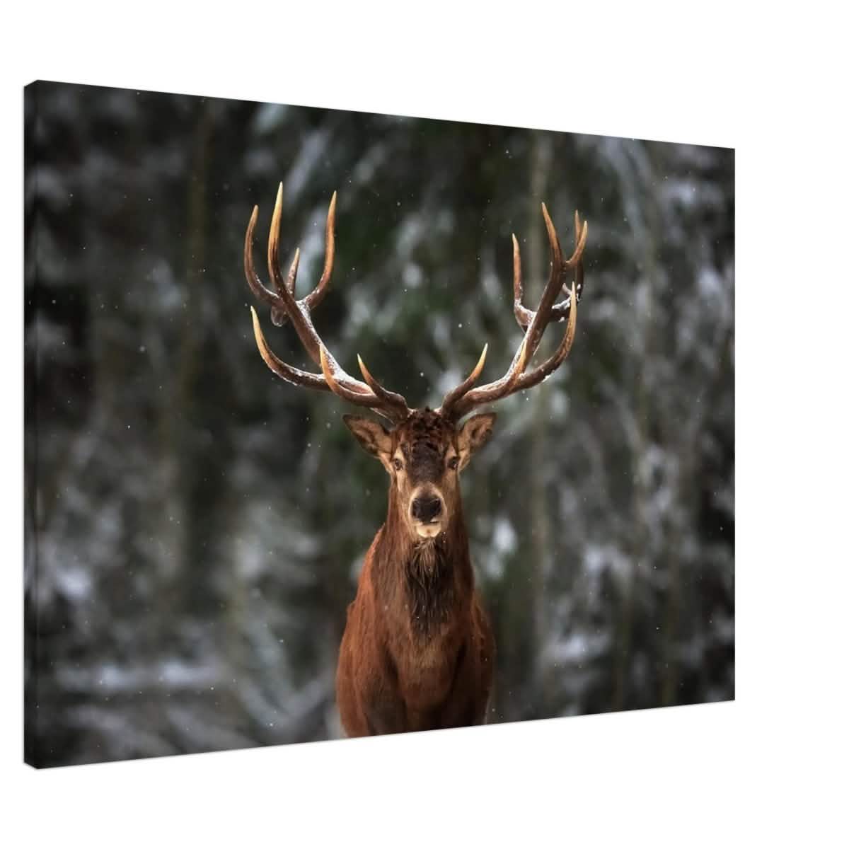 Da Vinci Animal Kingdom Wall art print | Wildlife | Deer - Canvas - 70x100 cm / 28x40″ - Slim