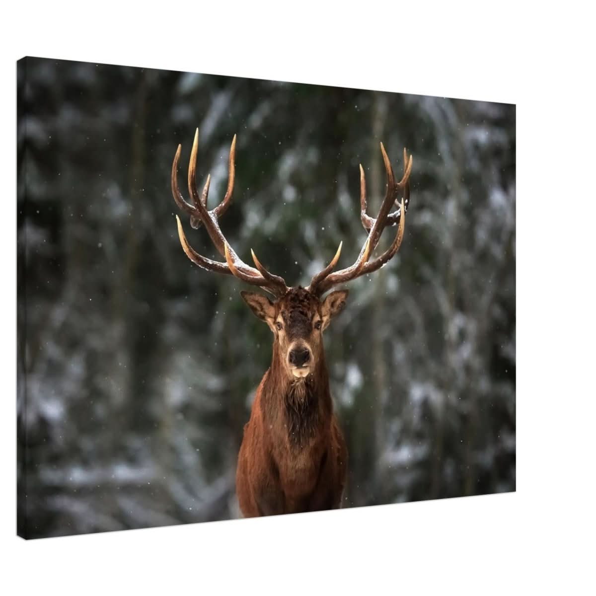 Da Vinci Animal Kingdom Wall art print | Wildlife | Deer - Canvas - 70x100 cm / 28x40″ - Slim