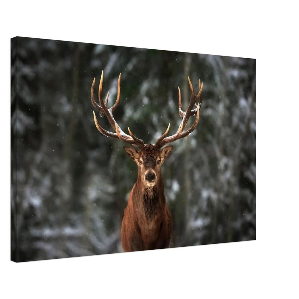 Da Vinci Animal Kingdom Wall art print | Wildlife | Deer - Canvas - 50x75 cm / 20x30″ - Slim