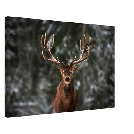 Da Vinci Animal Kingdom Wall art print | Wildlife | Deer - Canvas - 50x75 cm / 20x30″ - Slim