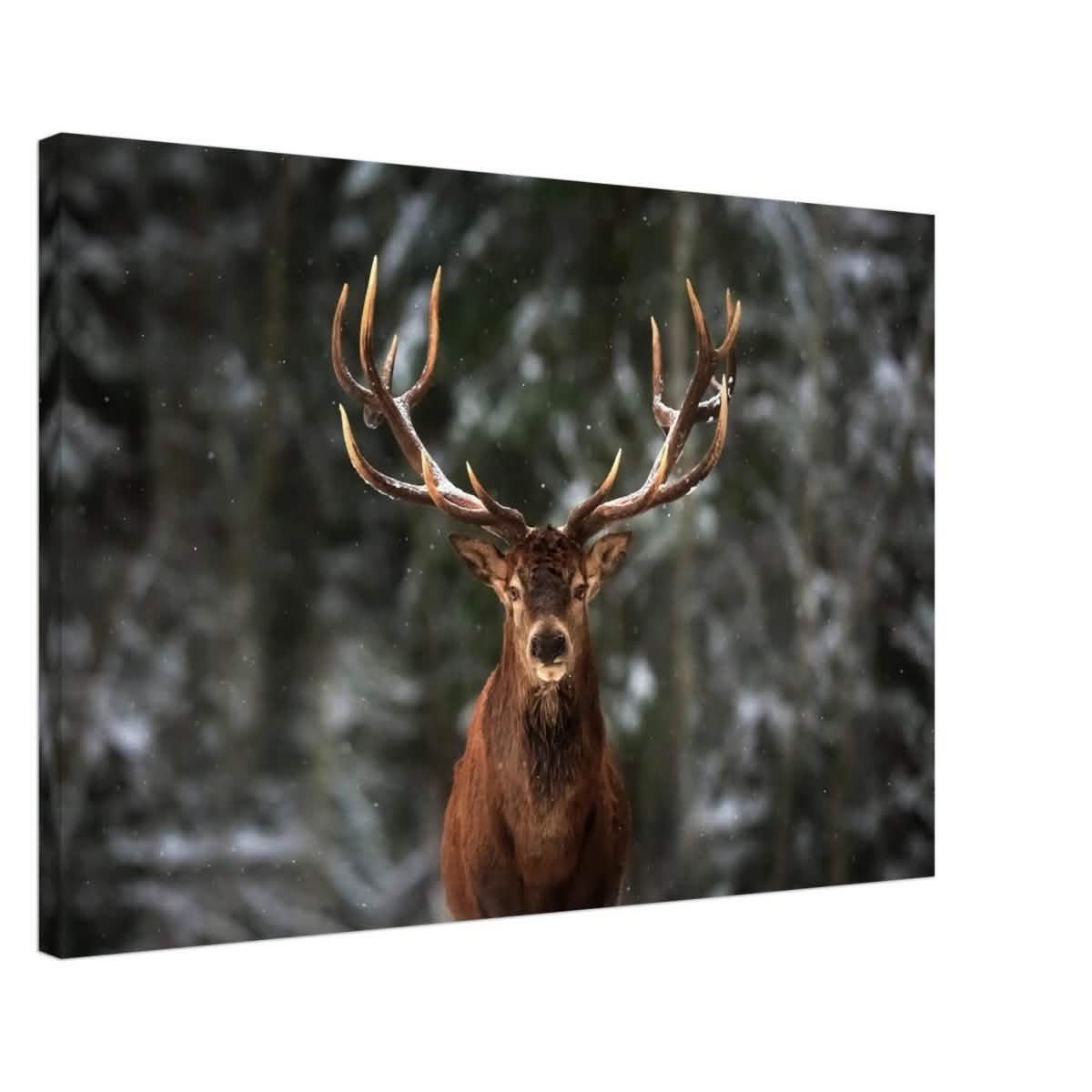 Da Vinci Animal Kingdom Wall art print | Wildlife | Deer - Canvas - 50x75 cm / 20x30″ - Slim