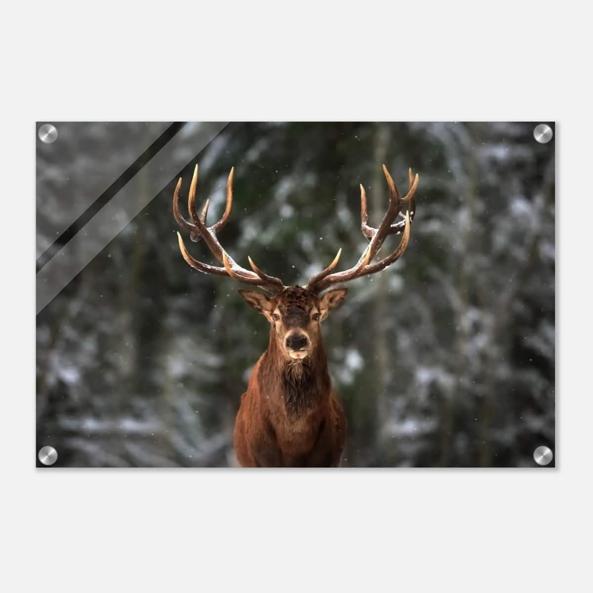 Da Vinci Animal Kingdom Wall art print | Wildlife | Deer - Acrylic Print - 40x60 cm / 16x24″ -