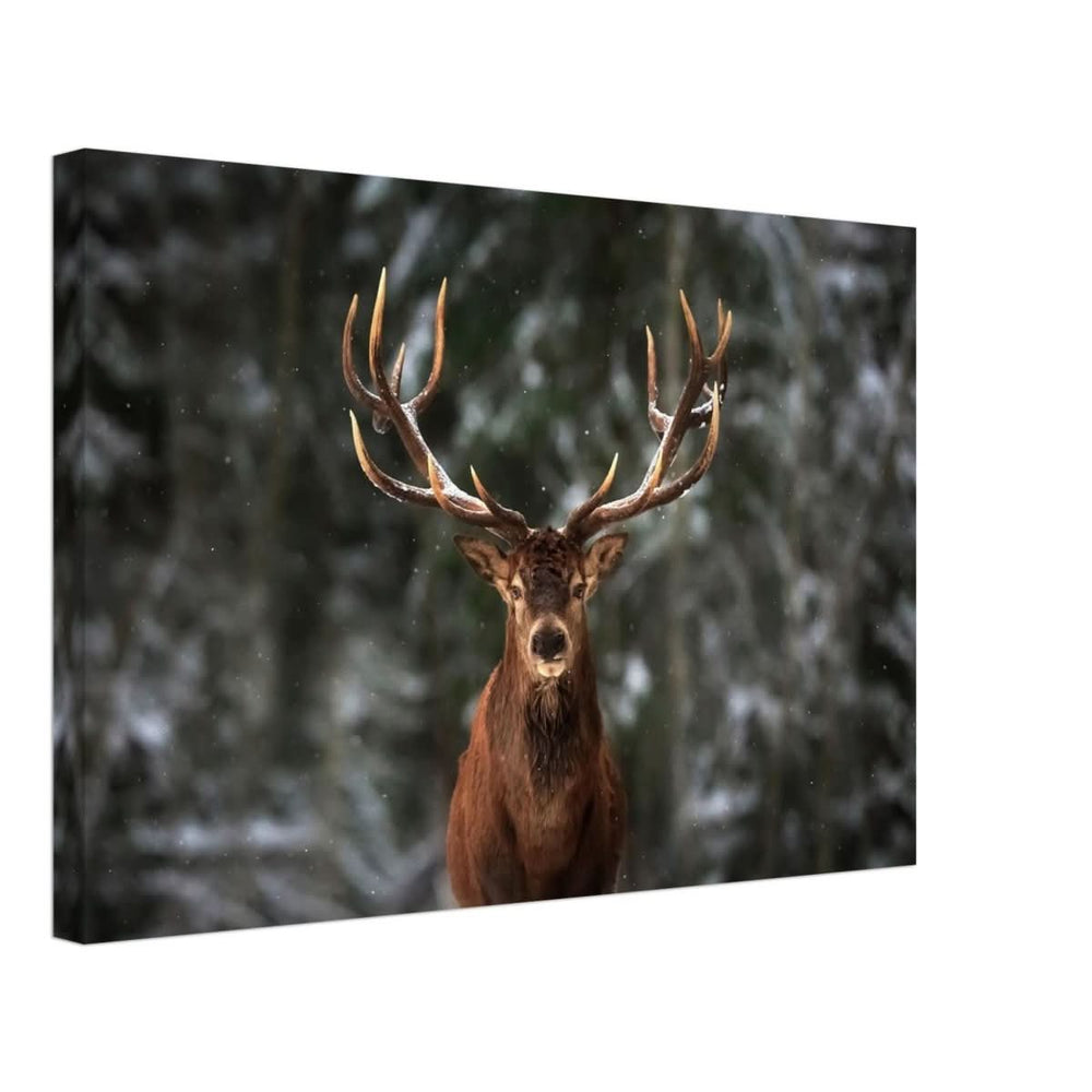 Da Vinci Animal Kingdom Wall art print | Wildlife | Deer - Canvas - 40x60 cm / 16x24″ - Thick