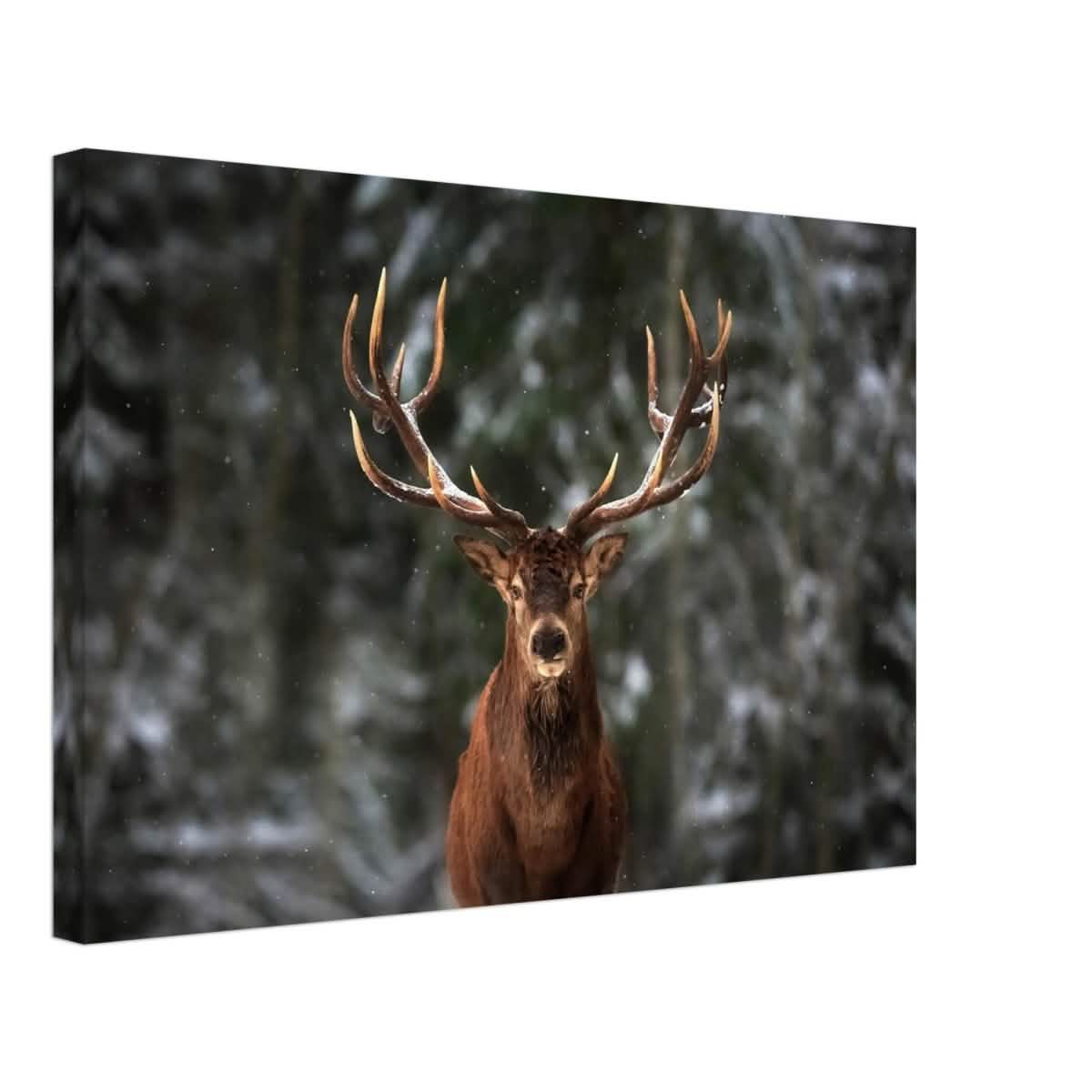 Da Vinci Animal Kingdom Wall art print | Wildlife | Deer - Canvas - 40x60 cm / 16x24″ - Thick