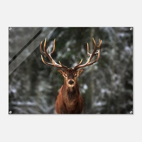 Da Vinci Animal Kingdom Wall art print | Wildlife | Deer - Acrylic Print - 70x100 cm / 28x40″ -