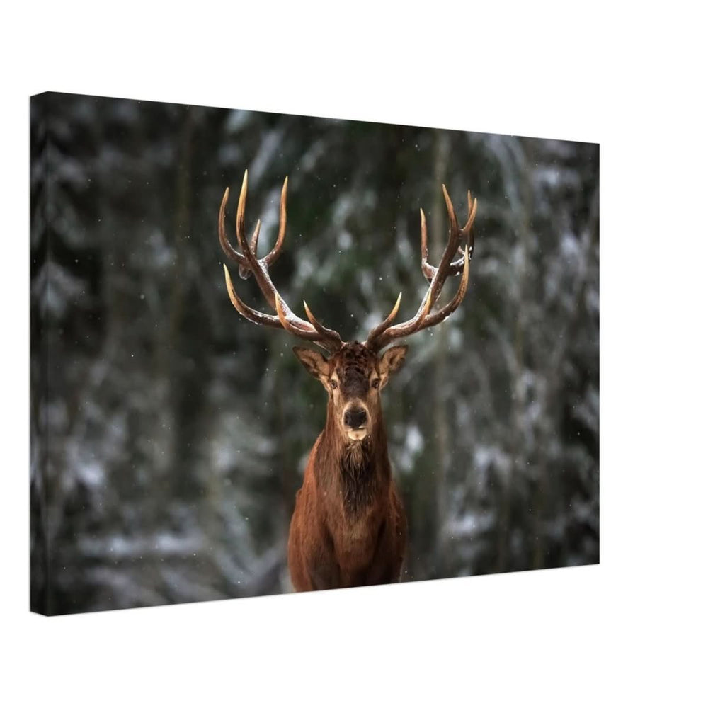 Da Vinci Animal Kingdom Wall art print | Wildlife | Deer - Canvas - 40x60 cm / 16x24″ - Slim