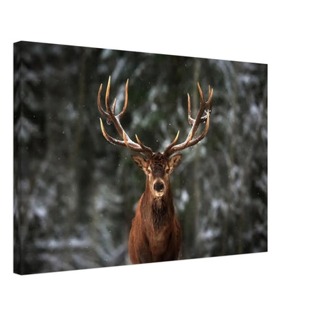 Da Vinci Animal Kingdom Wall art print | Wildlife | Deer - Canvas - 40x60 cm / 16x24″ - Slim