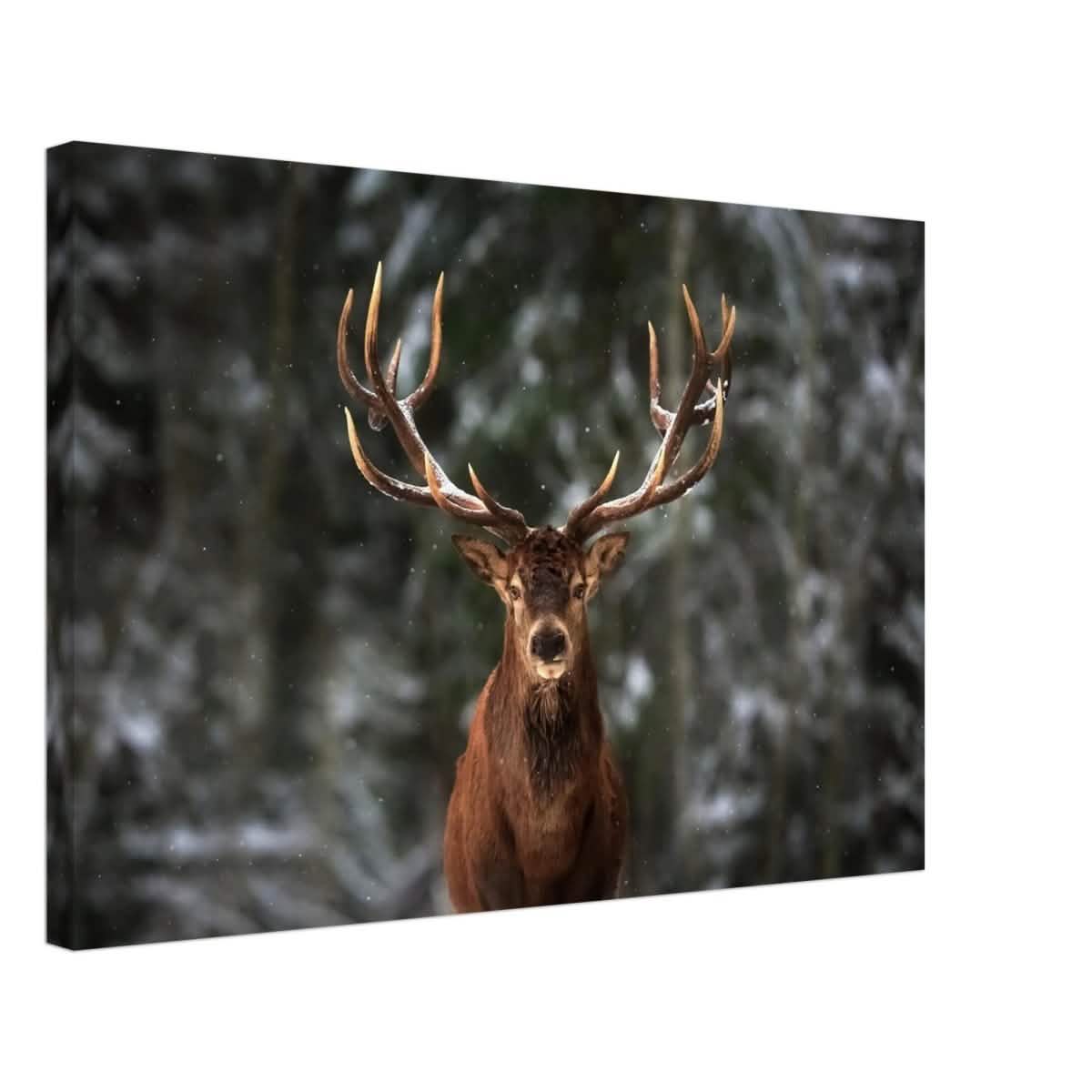 Da Vinci Animal Kingdom Wall art print | Wildlife | Deer - Canvas - 40x60 cm / 16x24″ - Slim