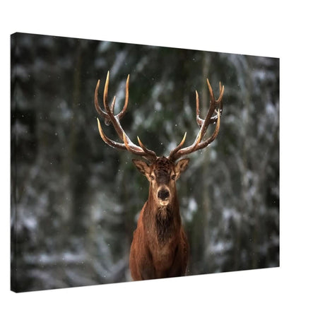Da Vinci Animal Kingdom Wall art print | Wildlife | Deer - Canvas - 70x100 cm / 28x40″ - Thick