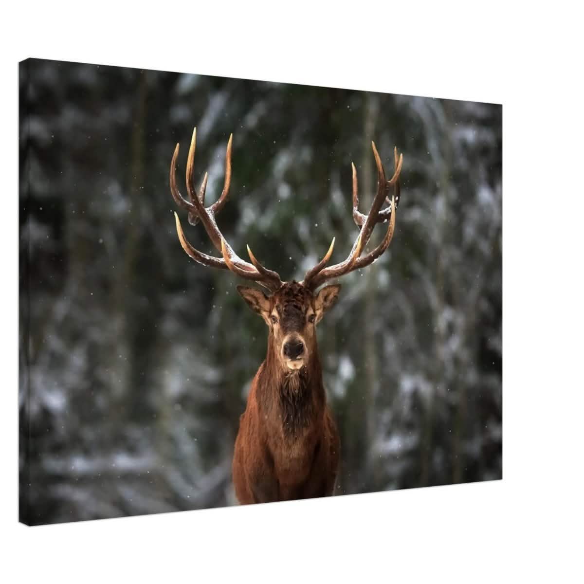 Da Vinci Animal Kingdom Wall art print | Wildlife | Deer - Canvas - 70x100 cm / 28x40″ - Thick