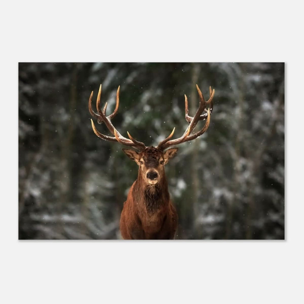 Da Vinci Animal Kingdom Wall art print | Wildlife | Deer - Wood Prints - 60x90 cm / 24x36″ - 20 mm