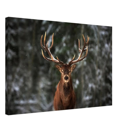 Da Vinci Animal Kingdom Wall art print | Wildlife | Deer - Canvas - 50x75 cm / 20x30″ - Thick