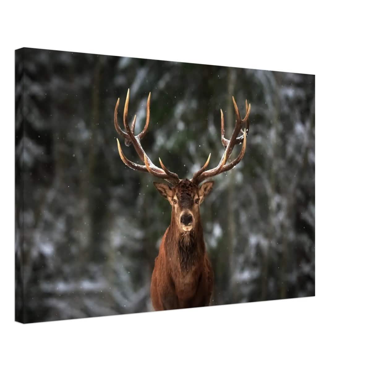 Da Vinci Animal Kingdom Wall art print | Wildlife | Deer - Canvas - 50x75 cm / 20x30″ - Thick