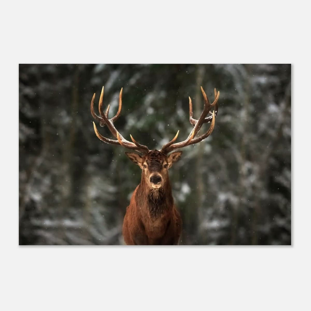 Da Vinci Animal Kingdom Wall art print | Wildlife | Deer - Wood Prints - 50x75 cm / 20x30″ - 20 mm