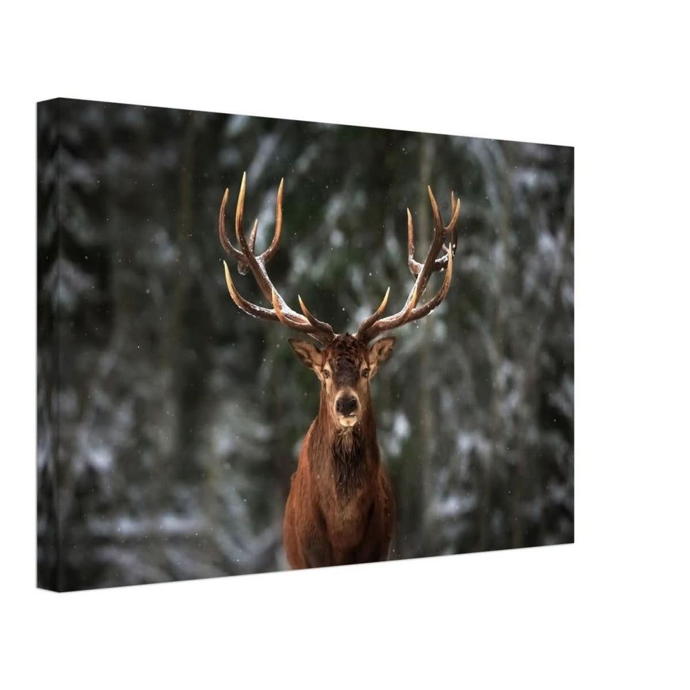 Da Vinci Animal Kingdom Wall art print | Wildlife | Deer - Canvas - 30x45 cm / 12x18″ - Slim