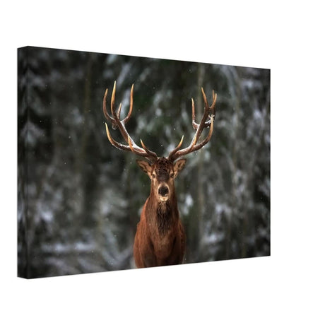 Da Vinci Animal Kingdom Wall art print | Wildlife | Deer - Canvas - 30x45 cm / 12x18″ - Slim