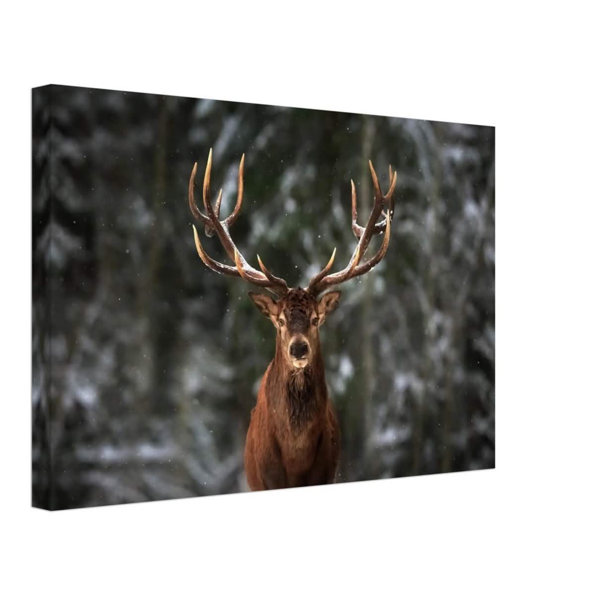Da Vinci Animal Kingdom Wall art print | Wildlife | Deer - Canvas - 30x45 cm / 12x18″ - Slim