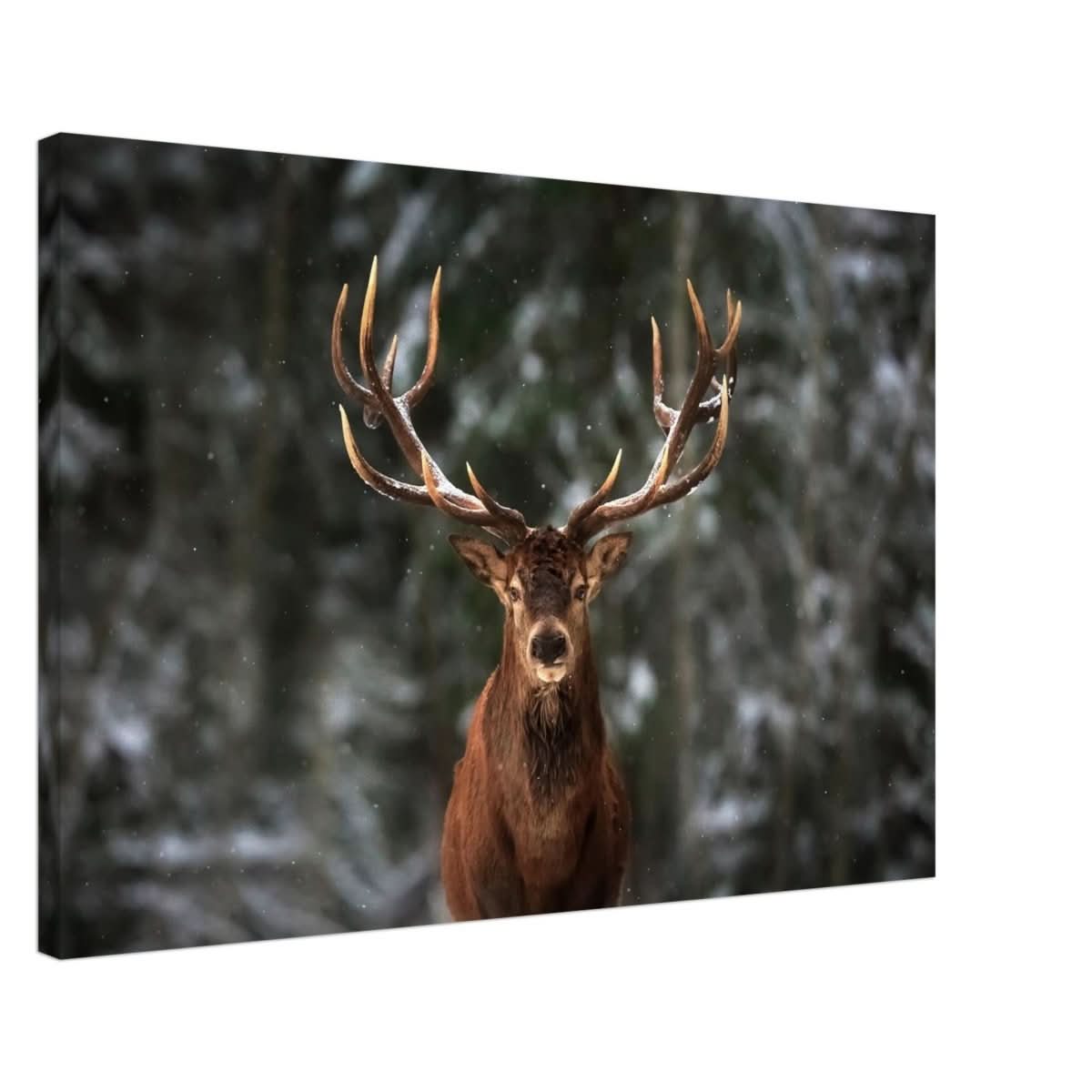 Da Vinci Animal Kingdom Wall art print | Wildlife | Deer - Canvas - 60x90 cm / 24x36″ - Thick