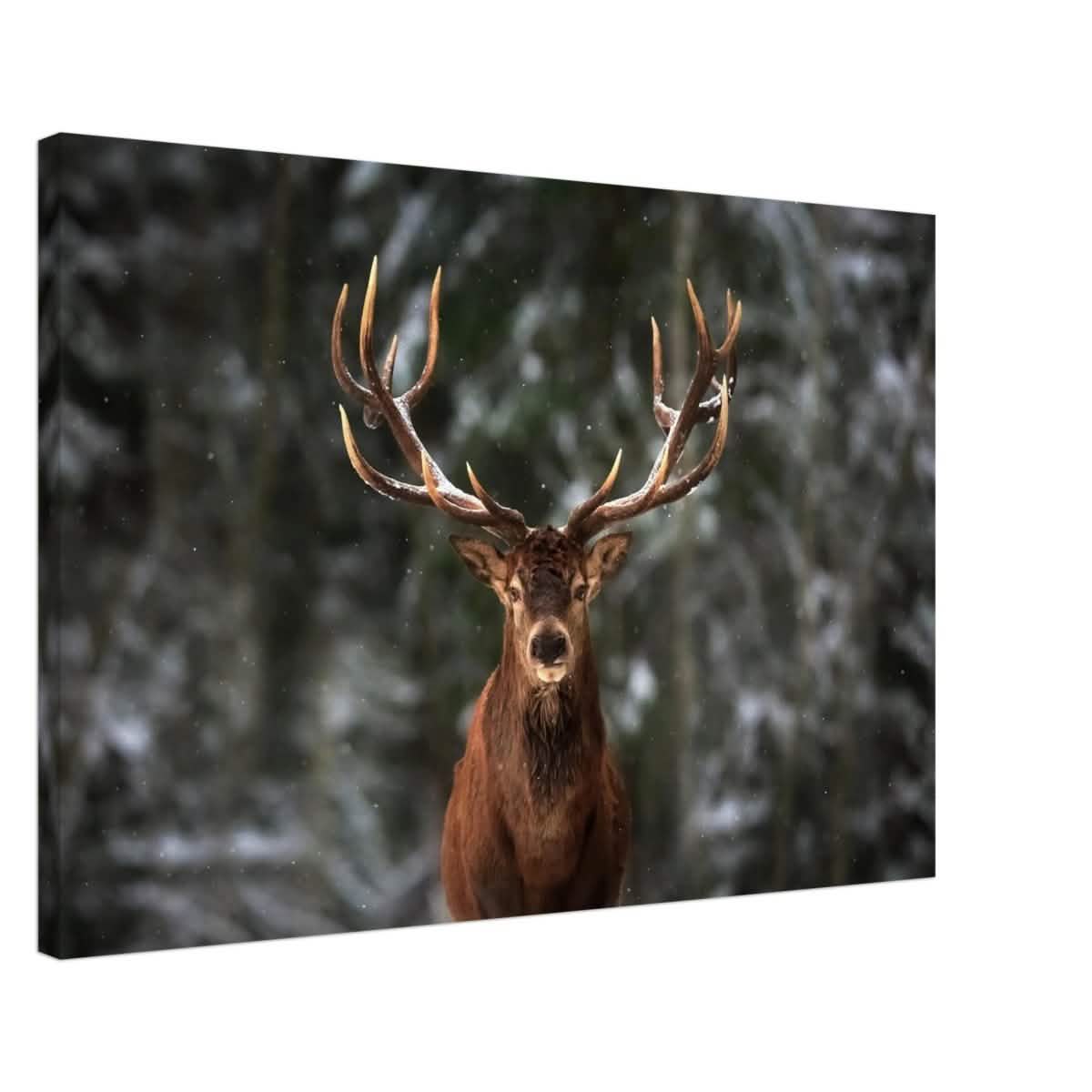 Da Vinci Animal Kingdom Wall art print | Wildlife | Deer - Canvas - 60x90 cm / 24x36″ - Thick