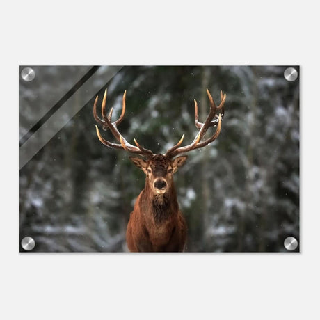 Da Vinci Animal Kingdom Wall art print | Wildlife | Deer - Acrylic Print - 30x45 cm / 12x18″ -