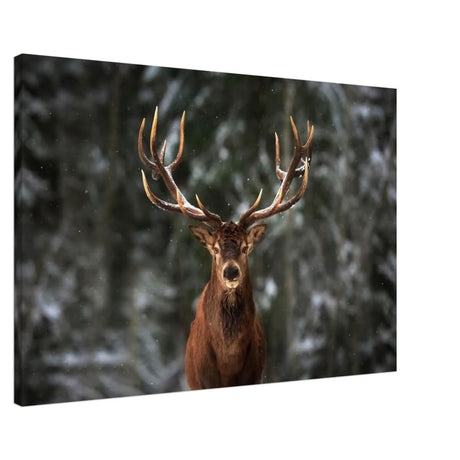 Da Vinci Animal Kingdom Wall art print | Wildlife | Deer - Canvas - 60x90 cm / 24x36″ - Slim