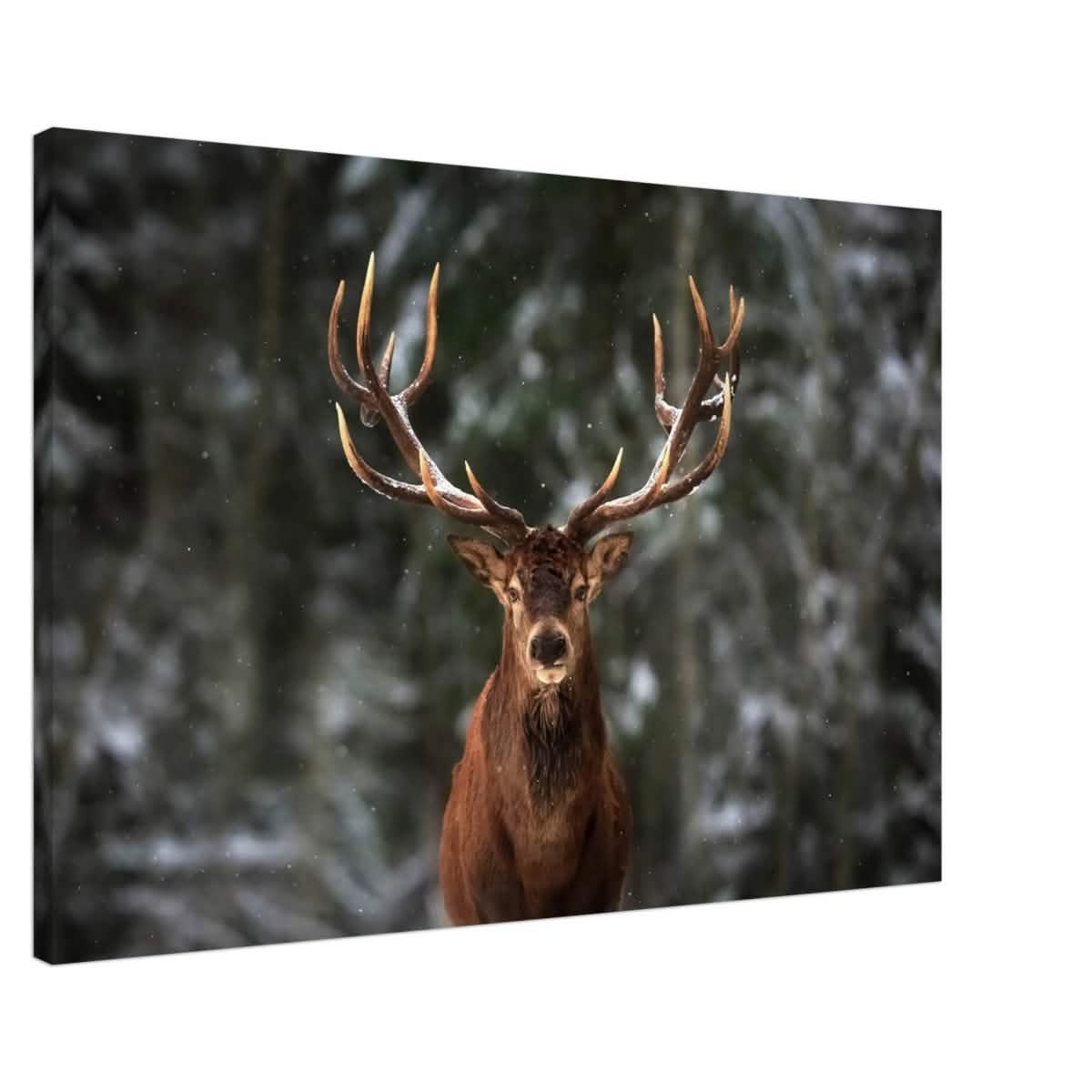 Da Vinci Animal Kingdom Wall art print | Wildlife | Deer - Canvas - 60x90 cm / 24x36″ - Slim