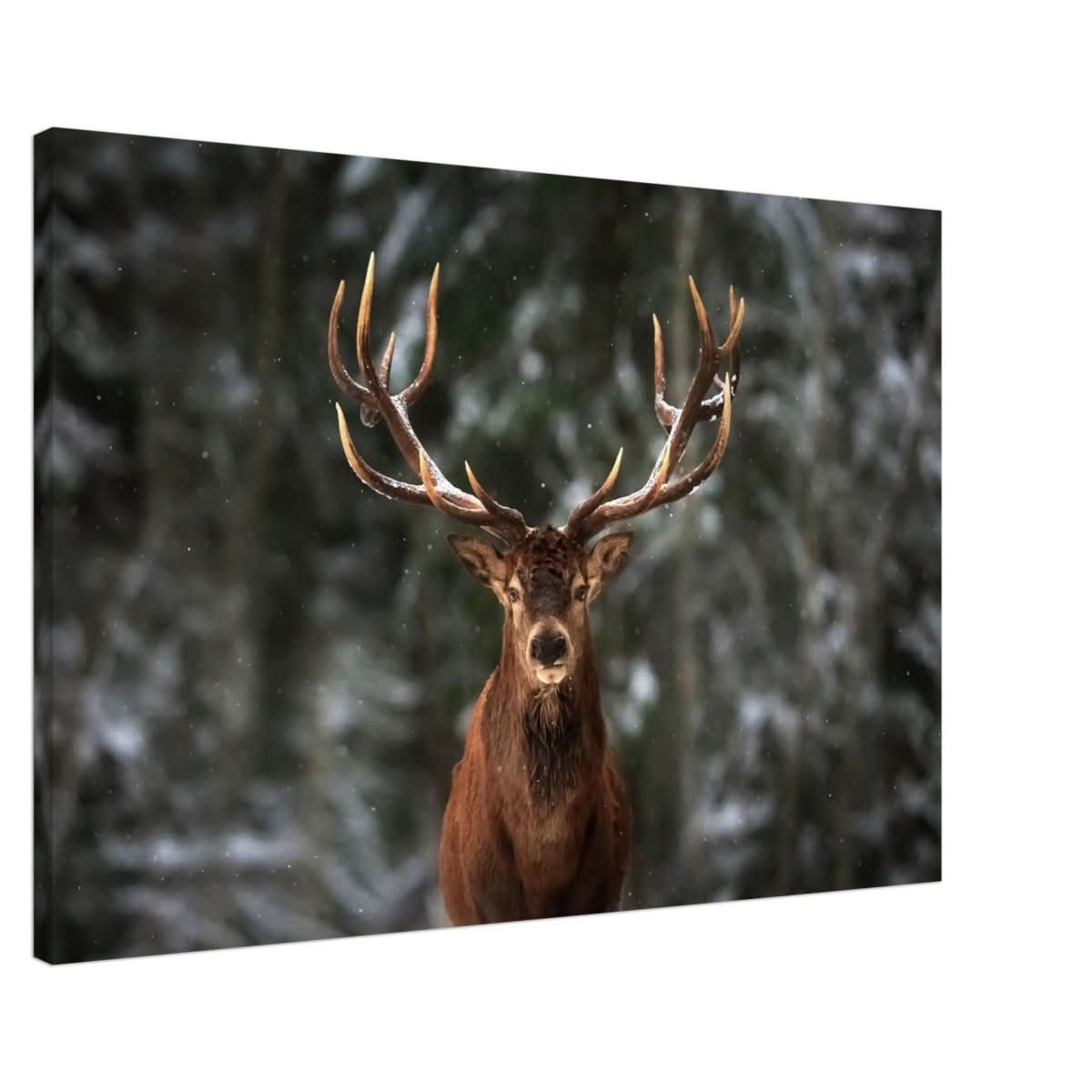 Da Vinci Animal Kingdom Wall art print | Wildlife | Deer - Canvas - 60x90 cm / 24x36″ - Slim