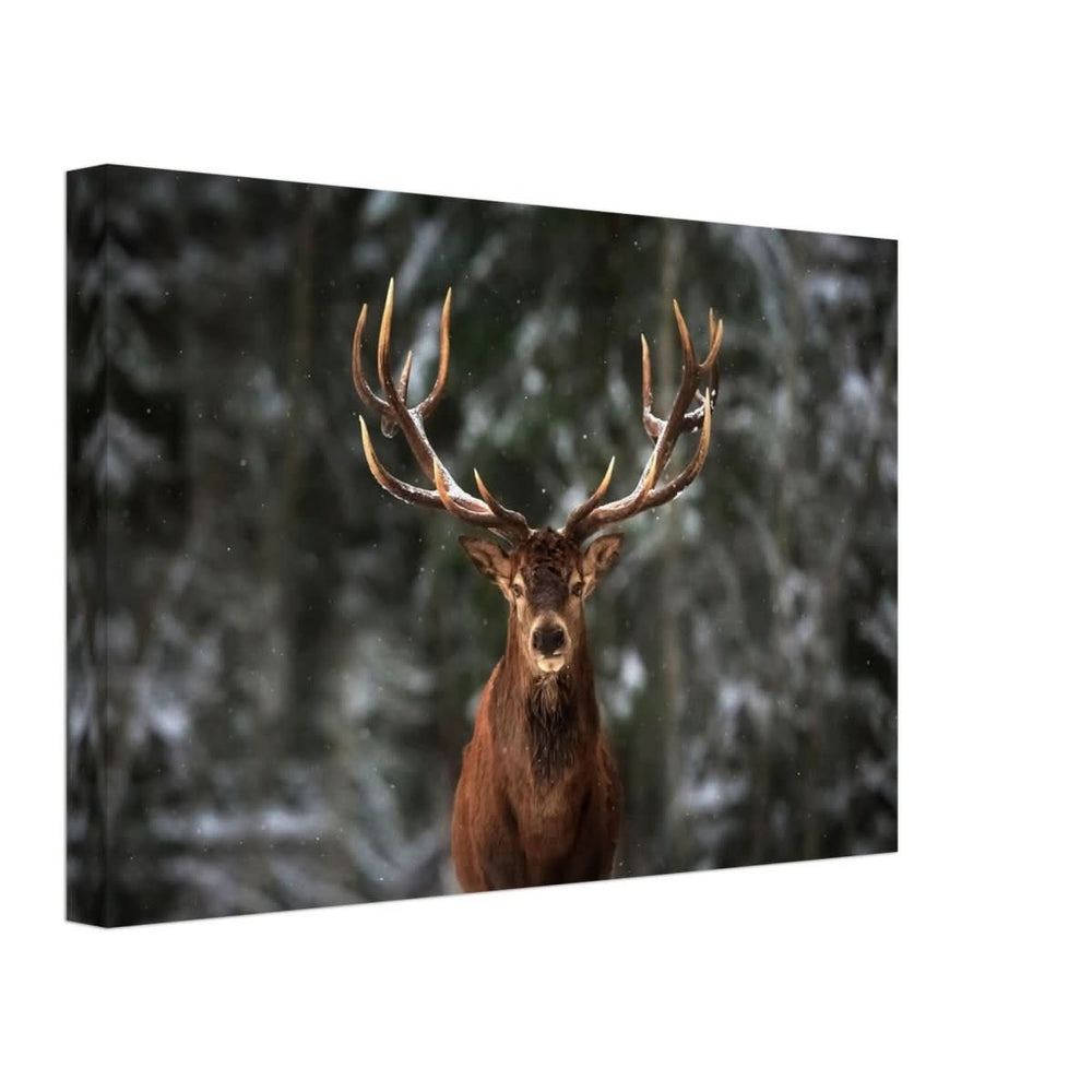 Da Vinci Animal Kingdom Wall art print | Wildlife | Deer - Canvas - 30x45 cm / 12x18″ - Thick