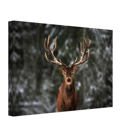 Da Vinci Animal Kingdom Wall art print | Wildlife | Deer - Canvas - 30x45 cm / 12x18″ - Thick