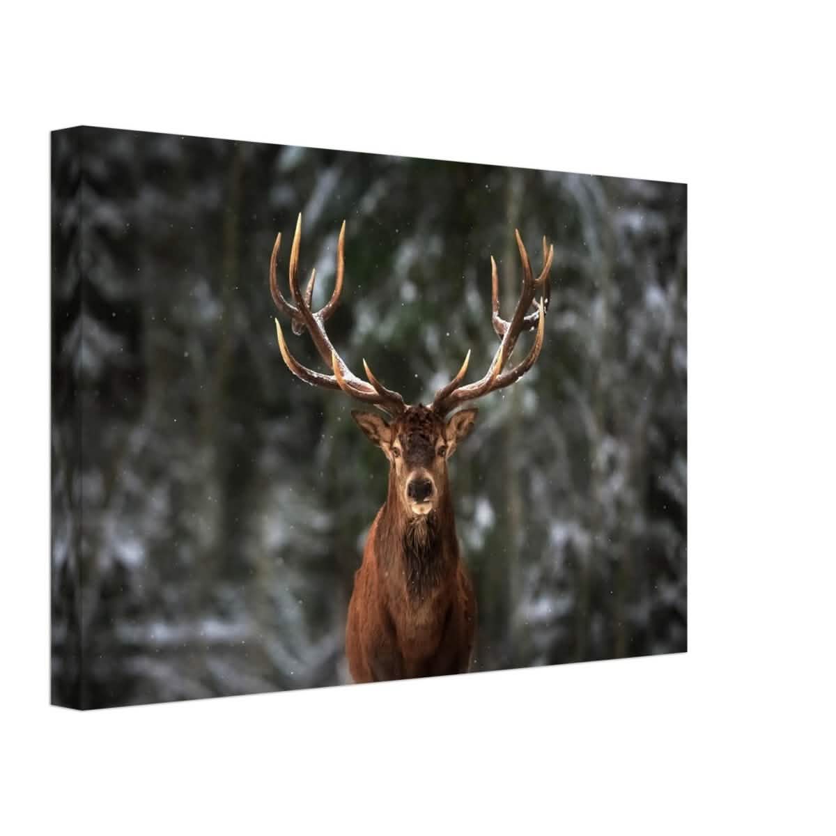 Da Vinci Animal Kingdom Wall art print | Wildlife | Deer - Canvas - 30x45 cm / 12x18″ - Thick